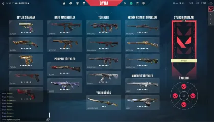Valorant Unlock All